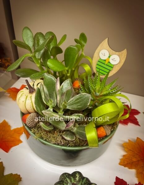 Composizione di Piante Grasse Autunnali