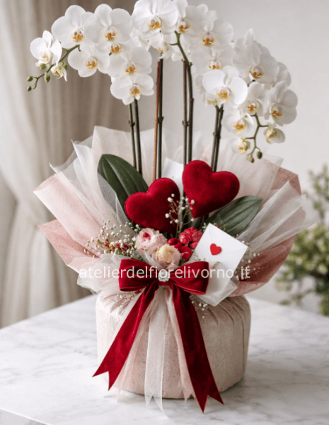 Orchidea San Valentino