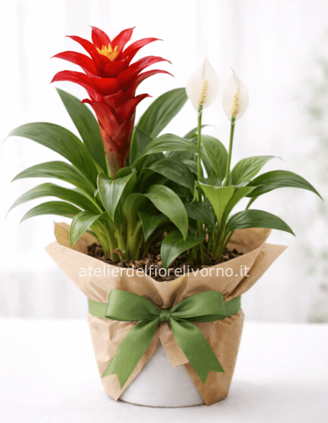 Composizione di Piante Tropicali