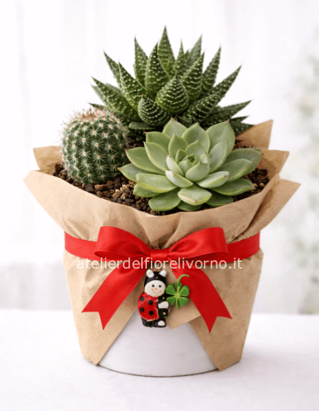 Composizione Succulente Portafortuna